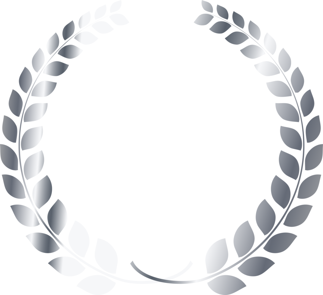 Silver medals vip card with crown laurel wreath.membership card icon png
