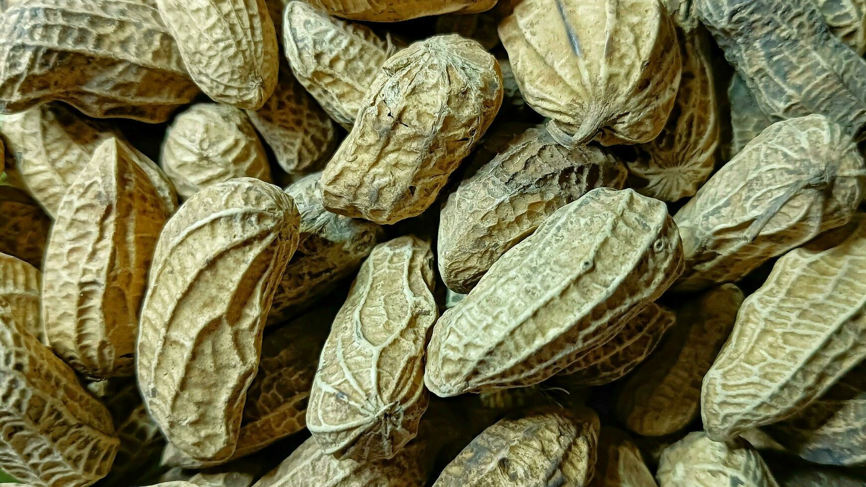 peanut texture, Close-up of a crisp, textured peanut with warm, golden-brown tones. Mouth-watering depiction of a popular snack food. Ideal for food-related publications and packaging photo