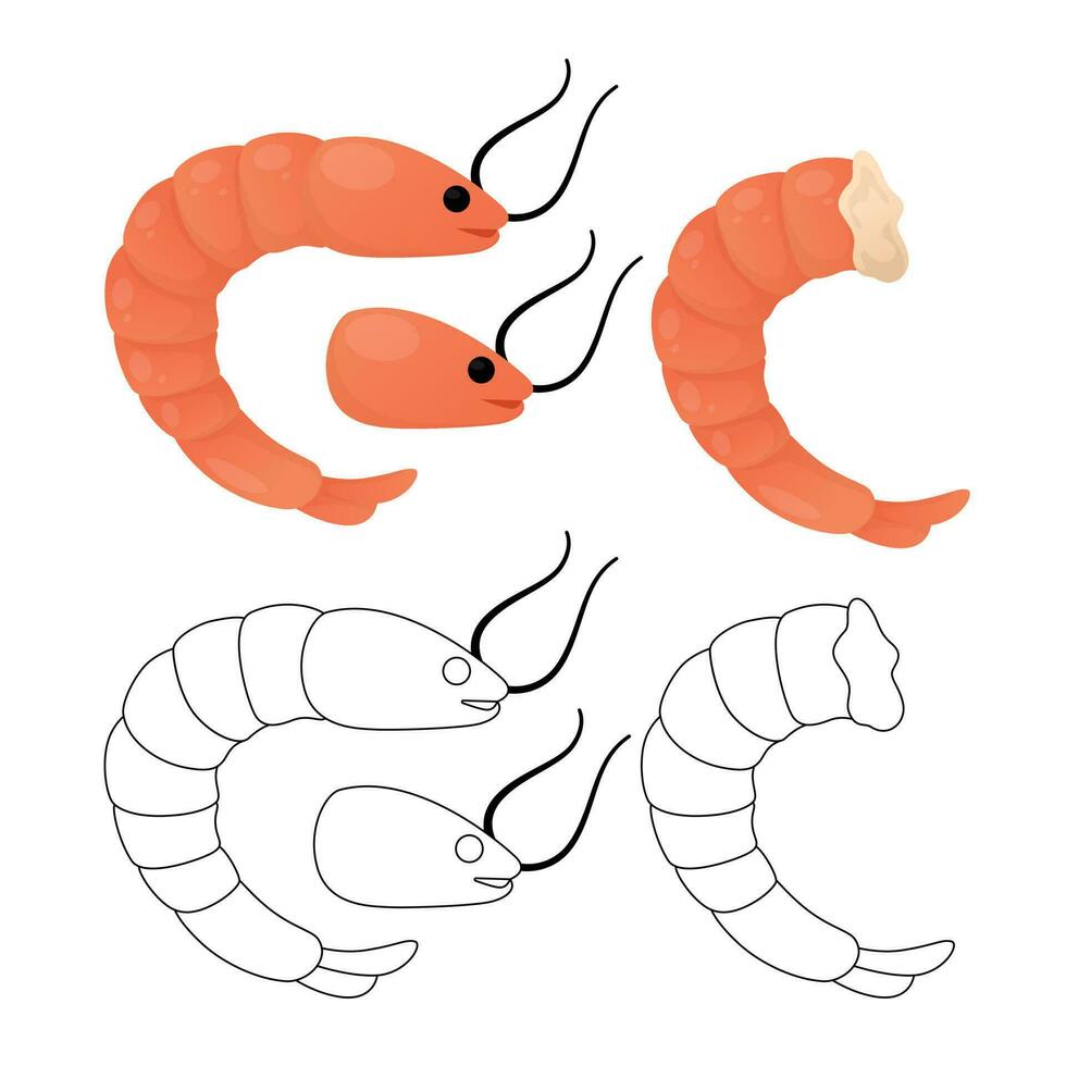 shrimp or prawn vector dwaring isolated background. shrimp vector line art illustration. prawn vector design.