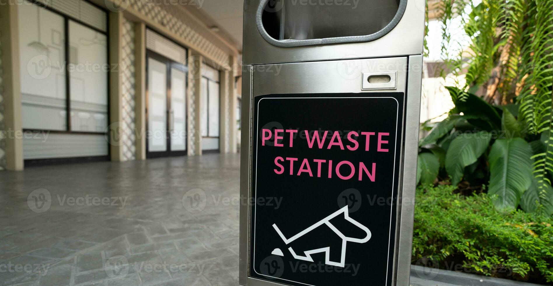 Pet waste station. Pet waste cleanup. Bin for dog owner cleanup dog excrement. Dog poop container. Hygienic pet poop solution. Outdoor public waste station. Community pet waste station. photo