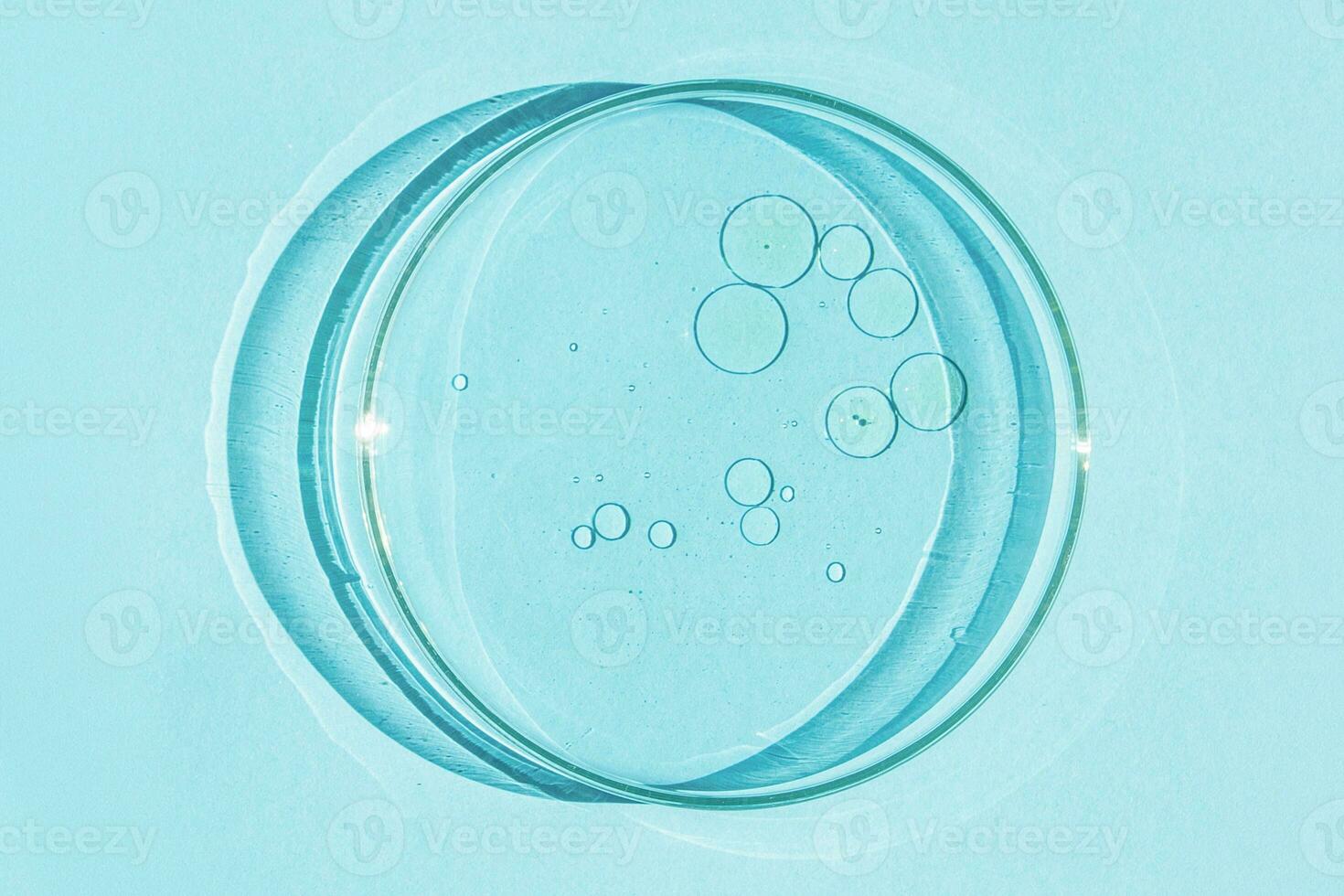 Petri dish. Petri's cup with liquid. Chemical elements, oil, cosmetics. Gel, water, molecules, viruses. Close-up. On a blue background. photo