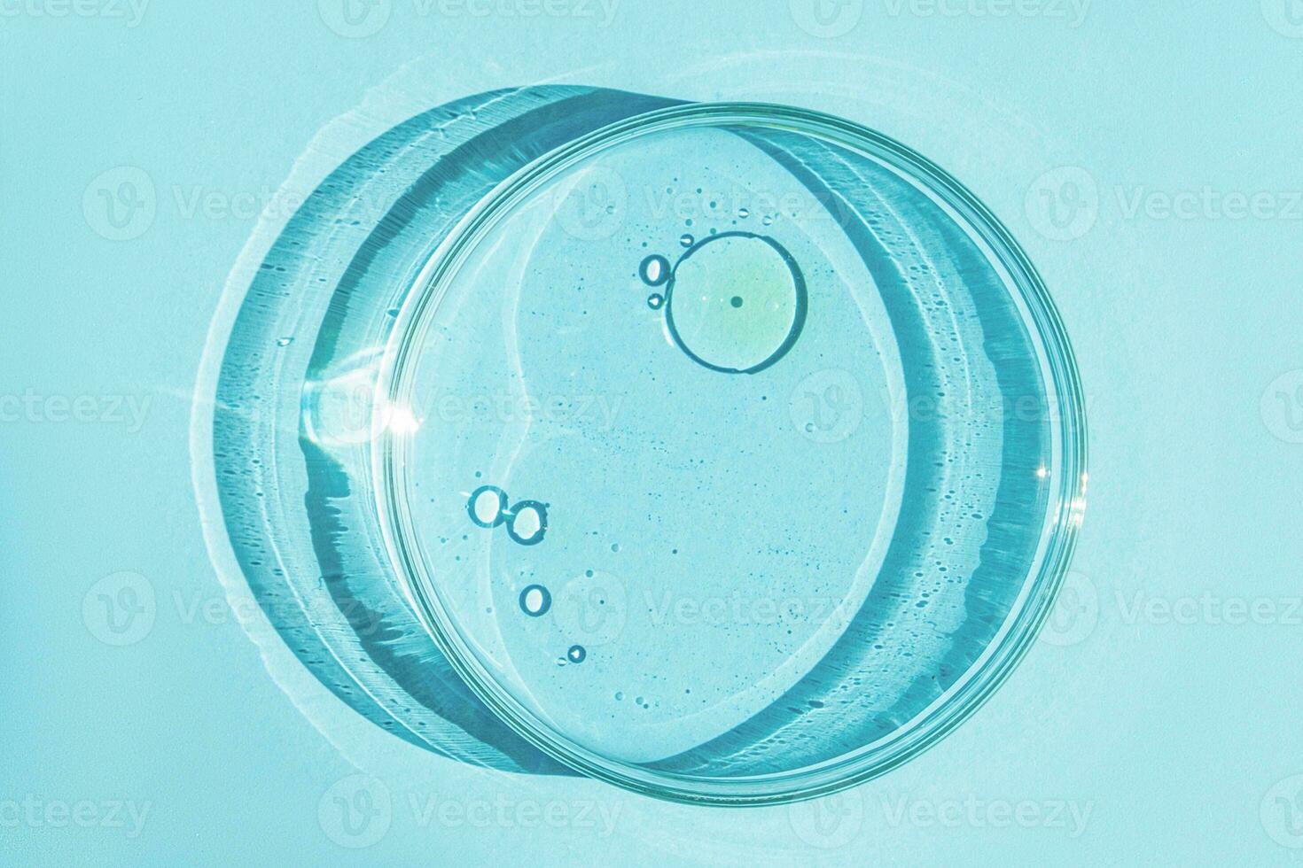 Petri dish. Petri's cup with liquid. Chemical elements, oil, cosmetics. Gel, water, molecules, viruses. Close-up. On a blue background. photo