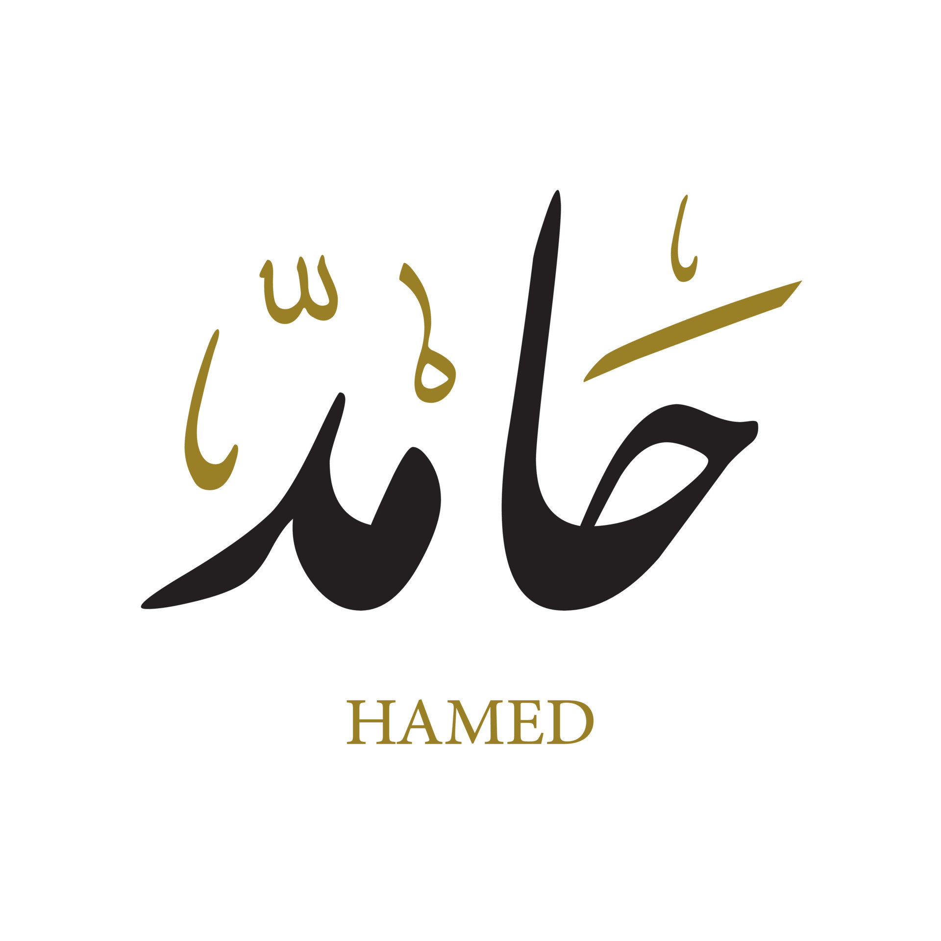 Mr Hamid | Stylish name, Name for instagram, Names