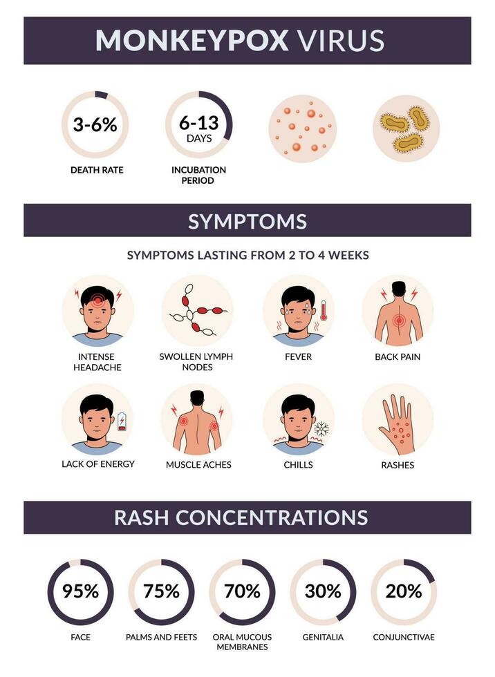 Monkeypox virus symptoms vector infographic. Rash concentration, rate, fever, headache, backpain. Flat design with icons