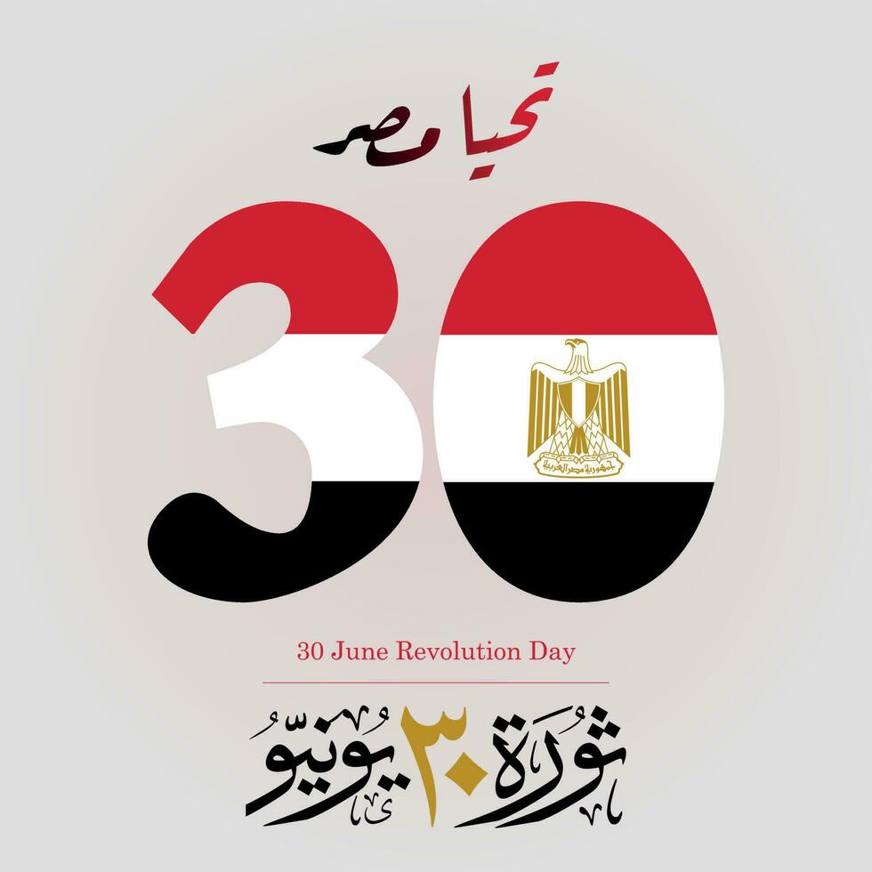 Flag of Egypt on 30 numbers gray background for Egypt revolution celebration day Arabic calligraphy in Thulth style. Translated 30 June Revolution Day. vector