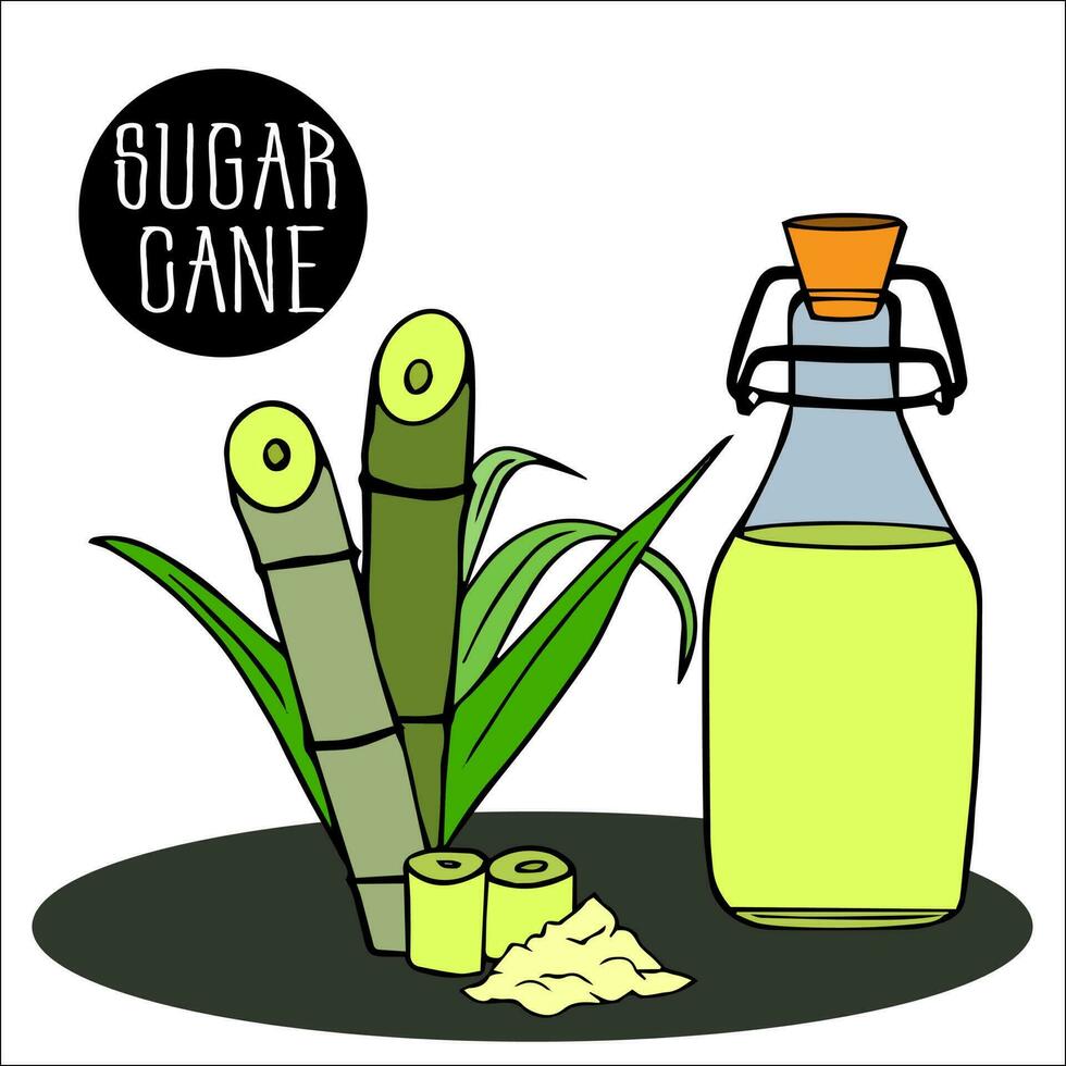 tropical sugar cane leaves, stalk, bunch, handful of brown sugar, sucrose, bottle of sweet cane juice. Sugar factory. Agriculture sugarcane production vector