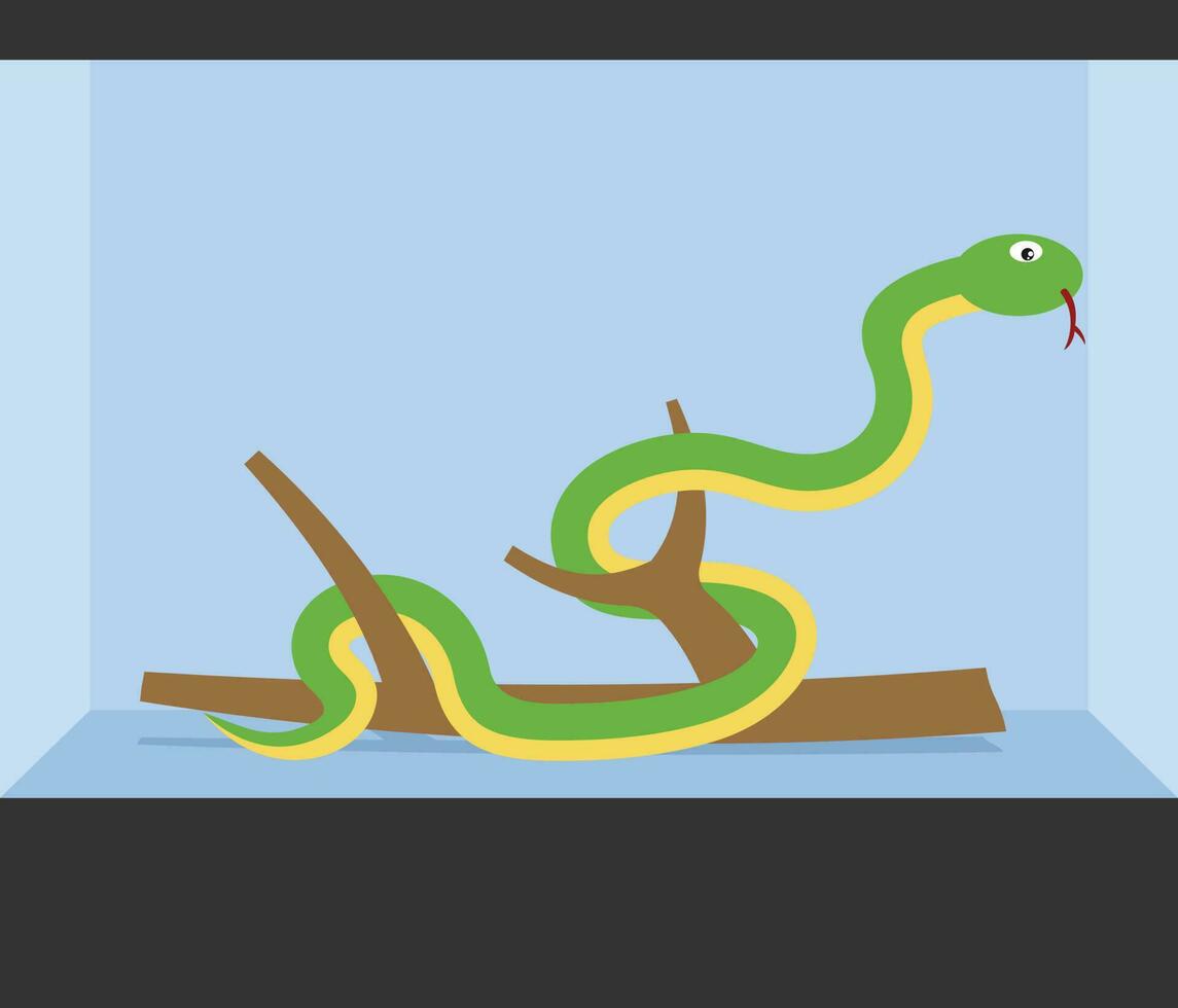 Snake Inside A Terrarium, Isolated Background. vector
