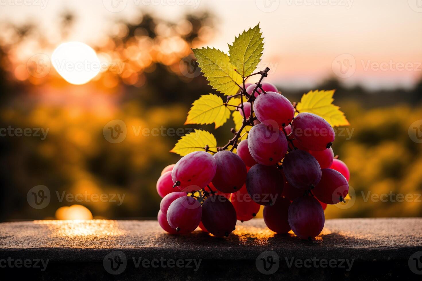 Bunch of grapes on a table in a vineyard at sunset photo