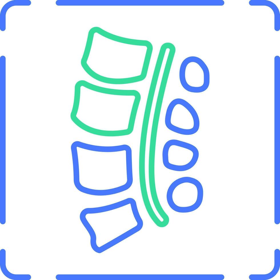 Myelogram line icon vector