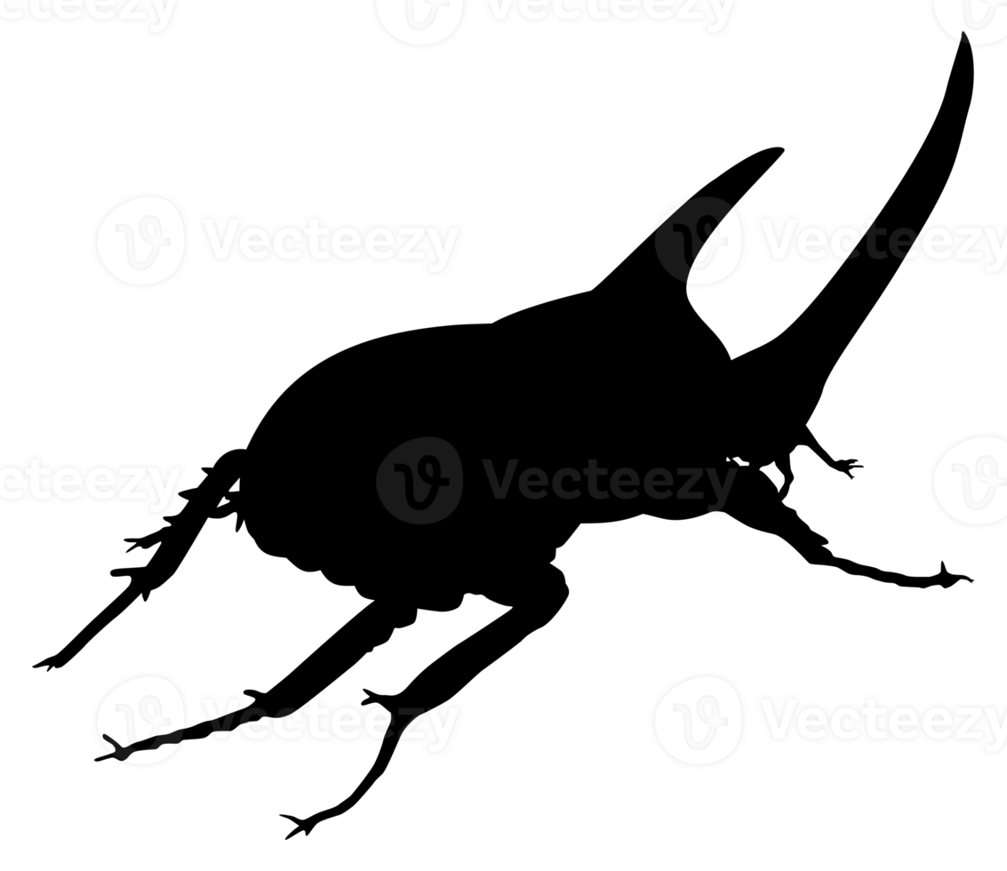 silhueta do a chifre besouro ou oryctes rinoceronte, dynastinae, pode usar para arte ilustração, logotipo, pictograma, local na rede Internet, apps ou gráfico Projeto elemento. formato png