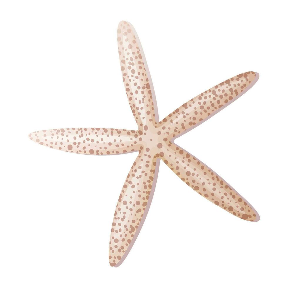 Beige starfish on a white background. Mollusk vector illustration.Beach,sea illustration. Suitable for decor, stickers, prints.