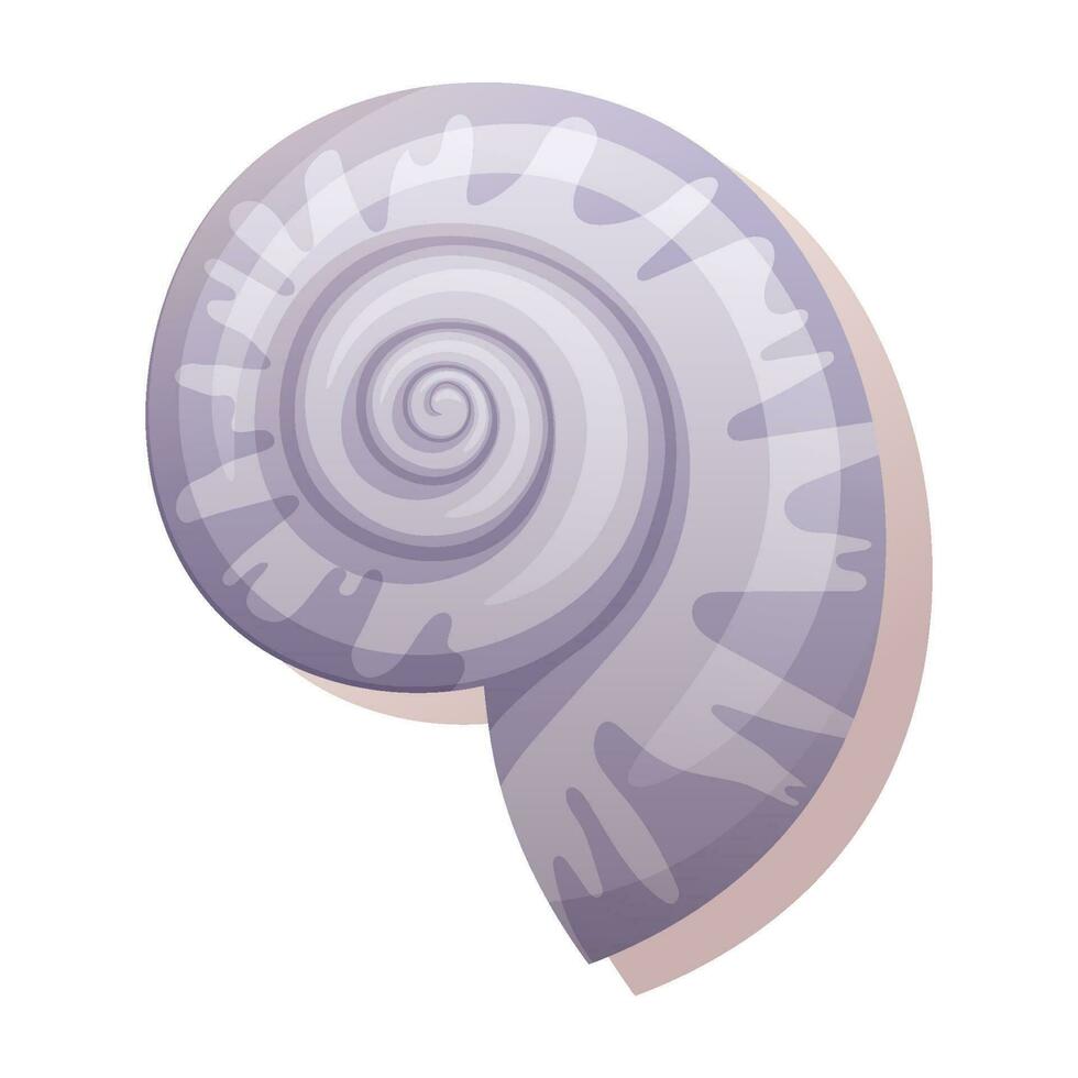 Spiral seashell on a white background. Mollusk vector illustration. Suitable for decor, stickers, prints. Beach,sea illustration