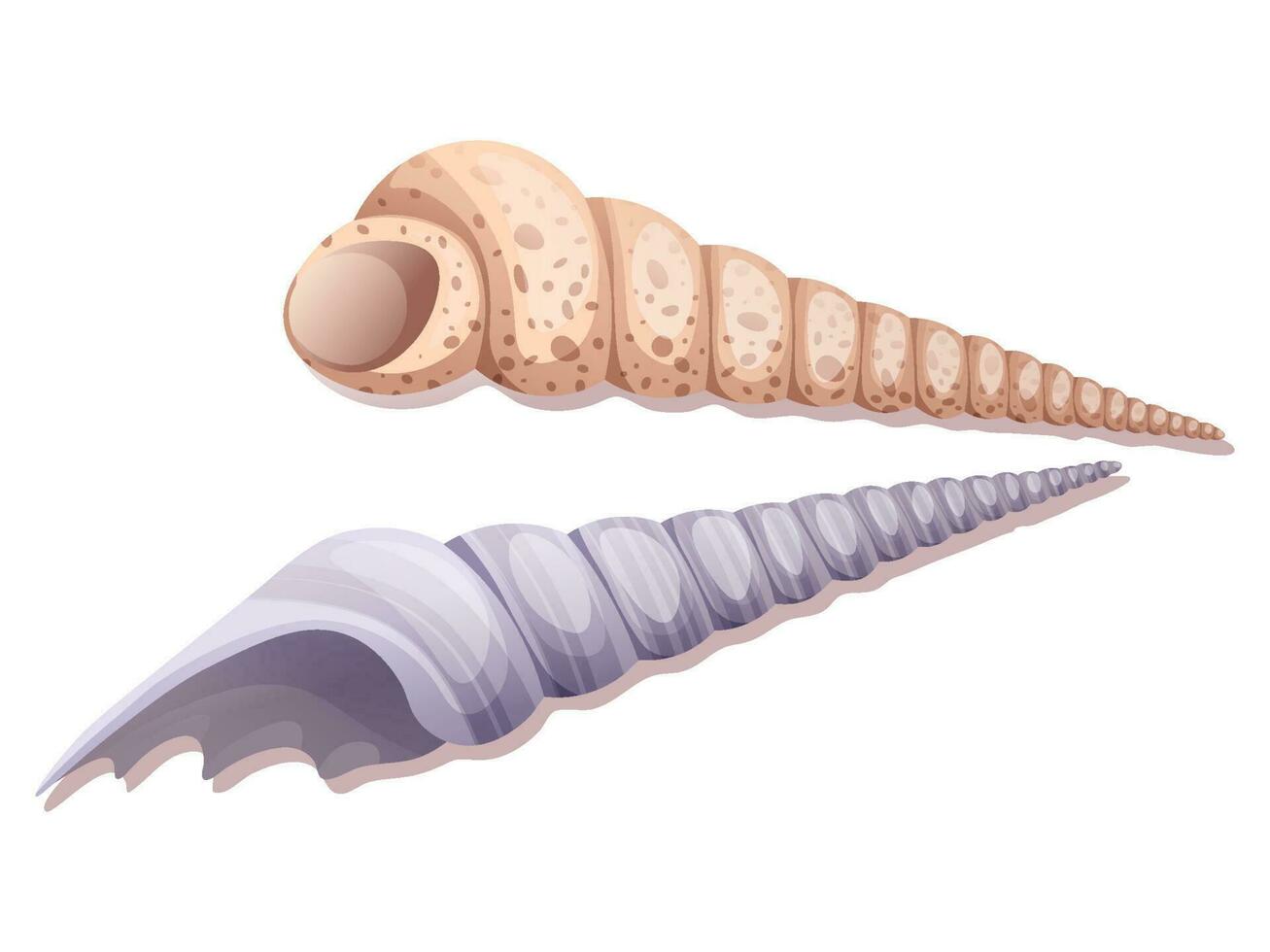 espiral conchas marinas en un blanco antecedentes. molusco vector ilustración. adecuado para decoración, pegatinas, huellas dactilares. playa, mar ilustración.