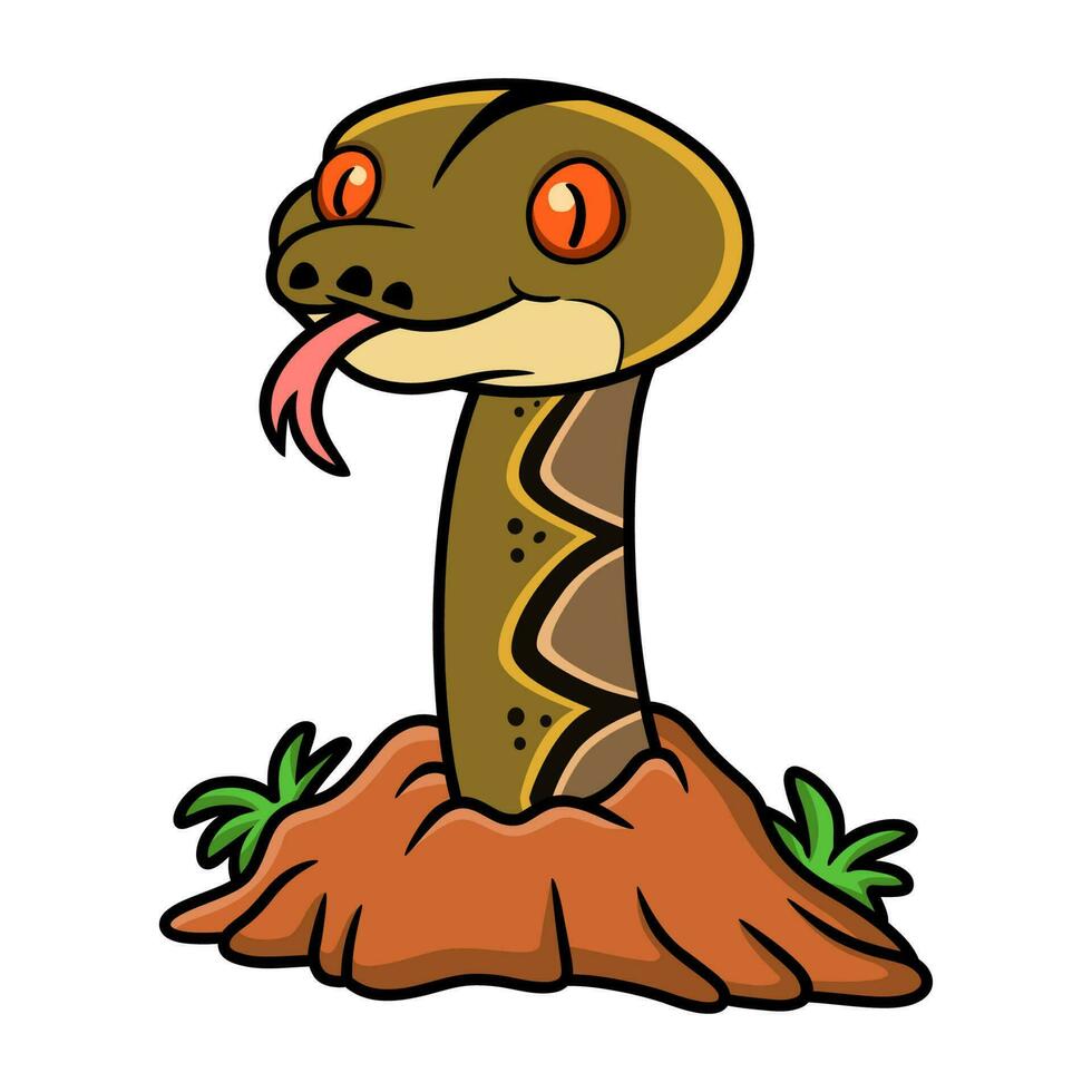 Cute reticulatus python cartoon out from hole vector