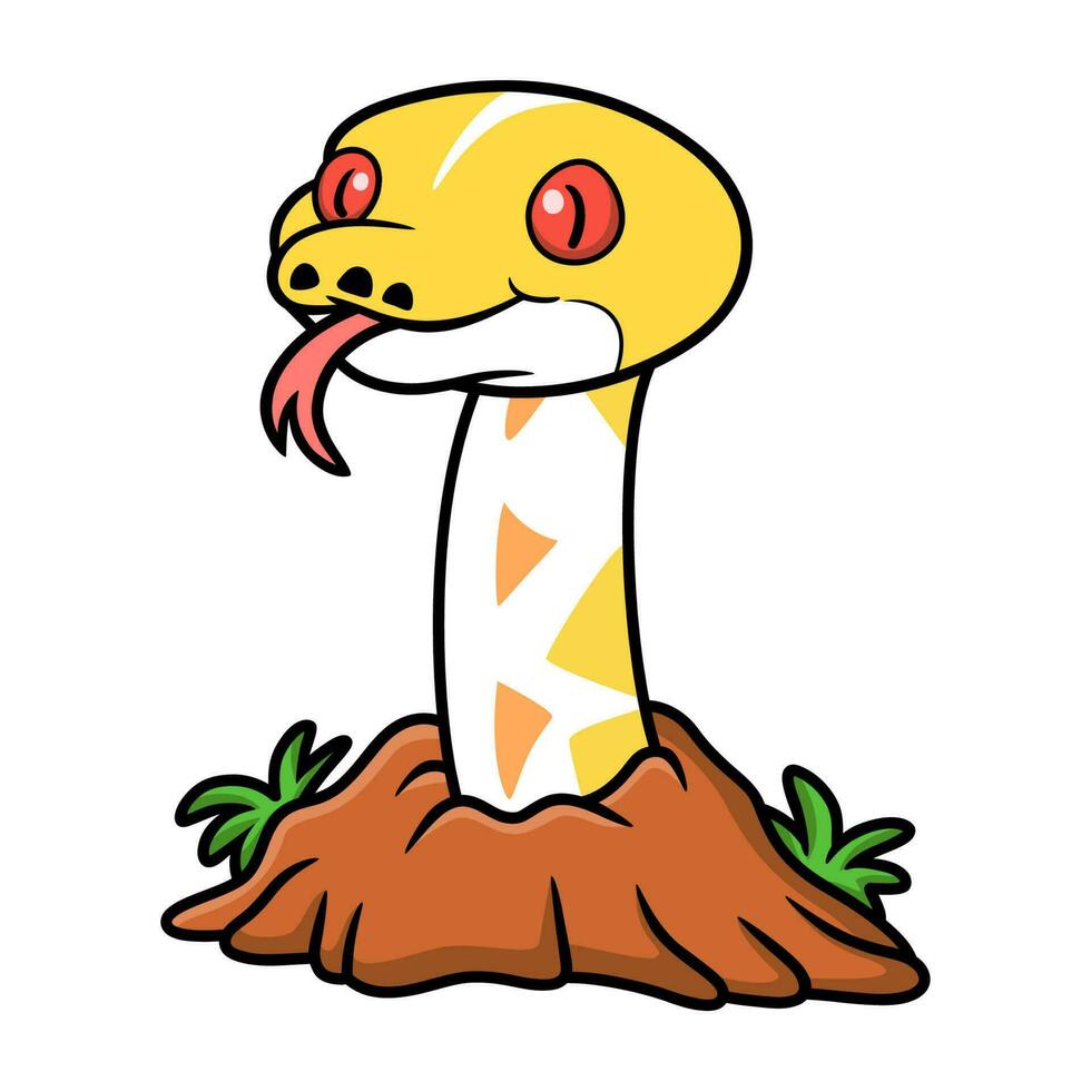 Cute amelanistic reticulated python cartoon out from hole vector