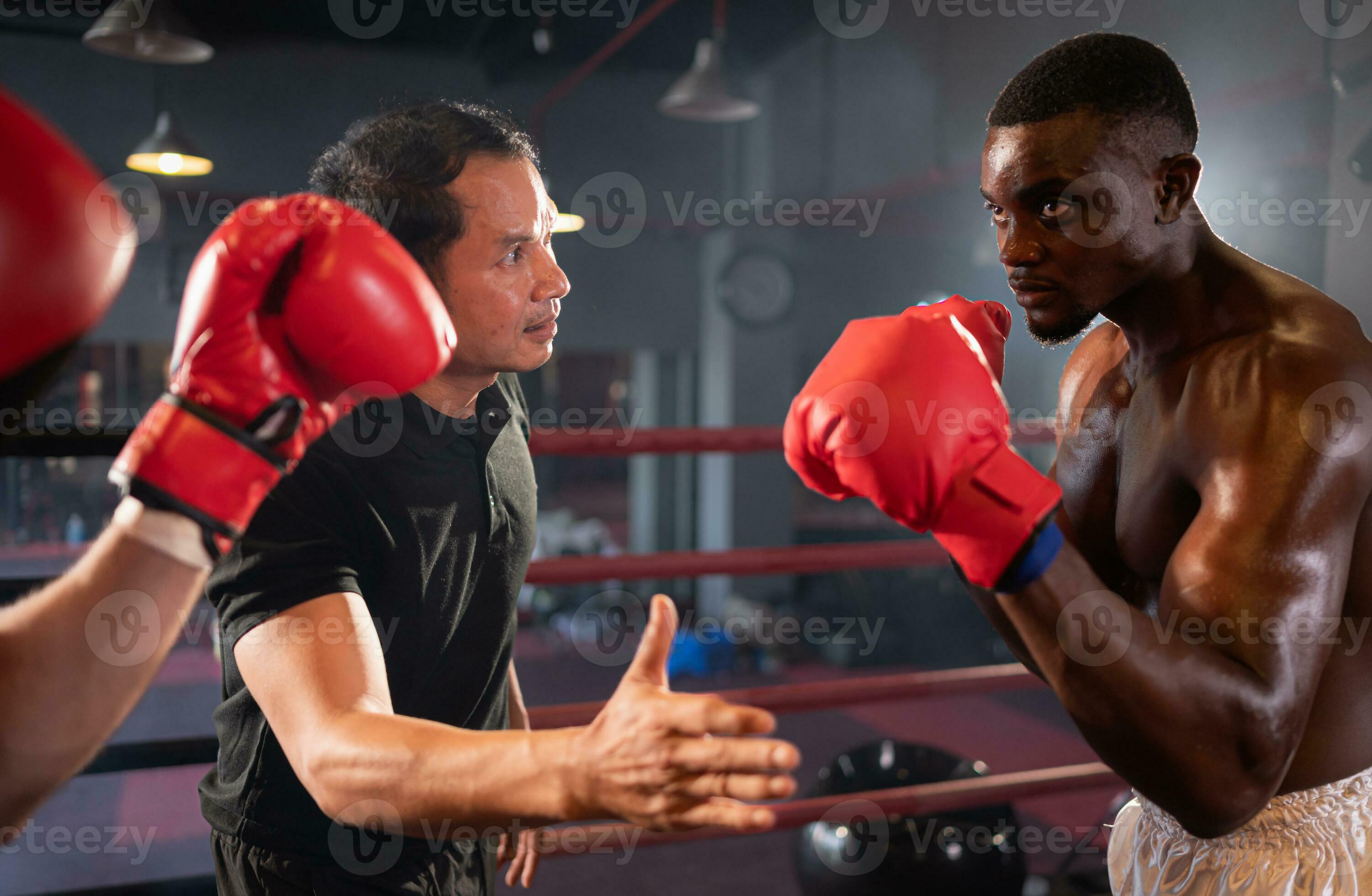 The Boxing Referee Signaled The Fight By Chopping Hands Between The Two the-boxing-referee-signaled-the-fight-by-chopping-hands-between-the-two