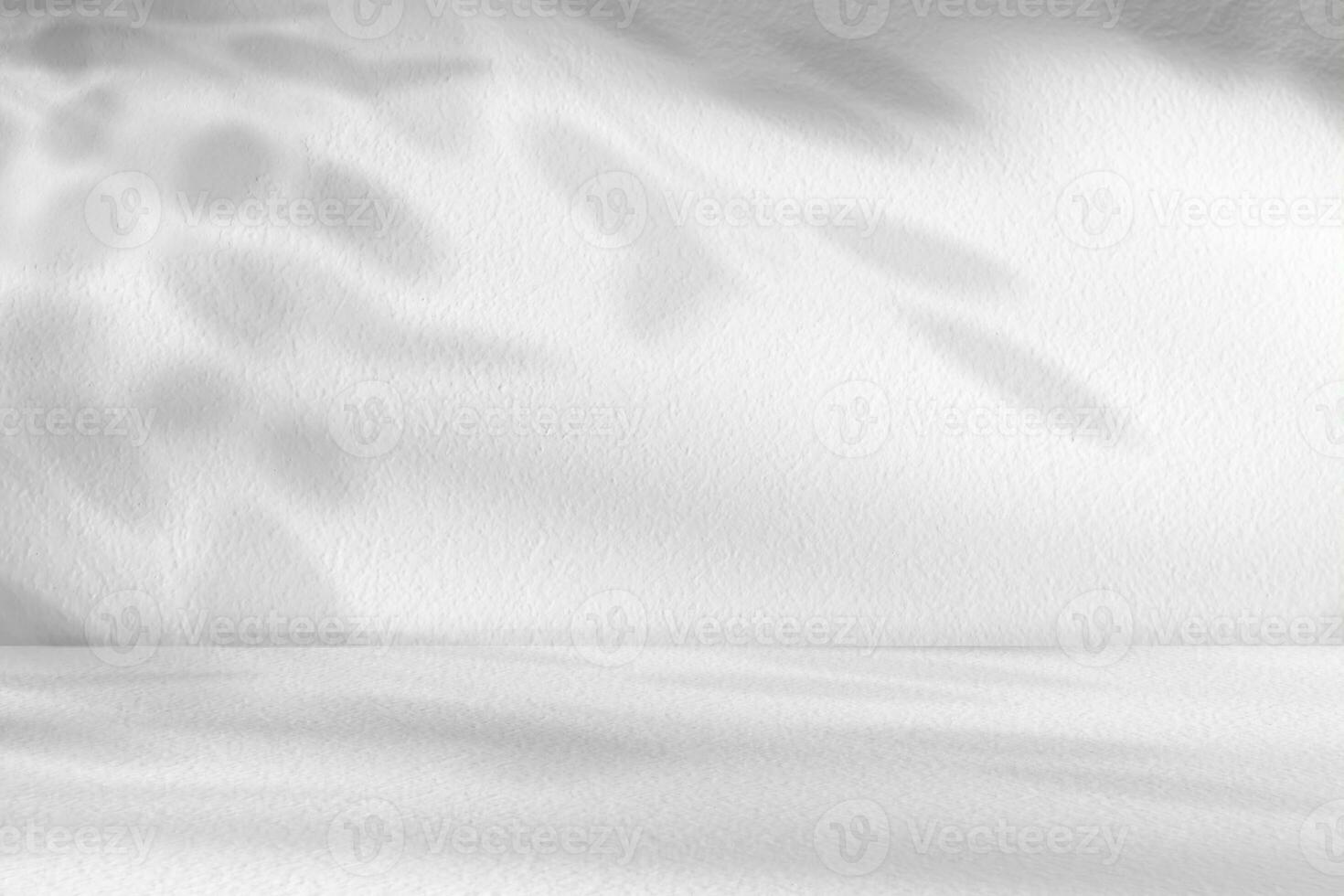 Concrete Wall Texture with Leaves Shadow Overlay Background,White Cement with Branches Tree Shadow on floor.Empty Studio Room Display Backdrop for Cosmetic Product presentation photo