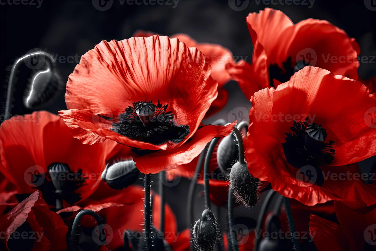 Red poppies as a symbol of memory for the fallen in the war. VE-Day, World War remembrance day. illustration photo