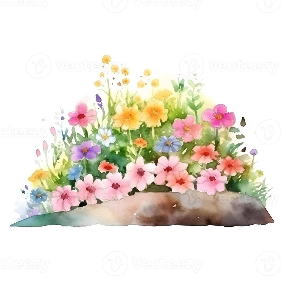 content, Garden flower bed, rosarium. Landscape design. Hand drawn watercolor illustration, isolated on white background photo