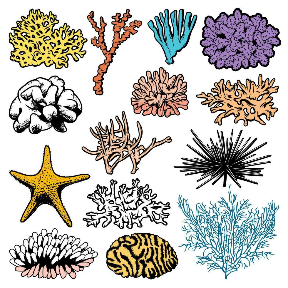 Underwater corals, polyps, sea urchins and stars vector