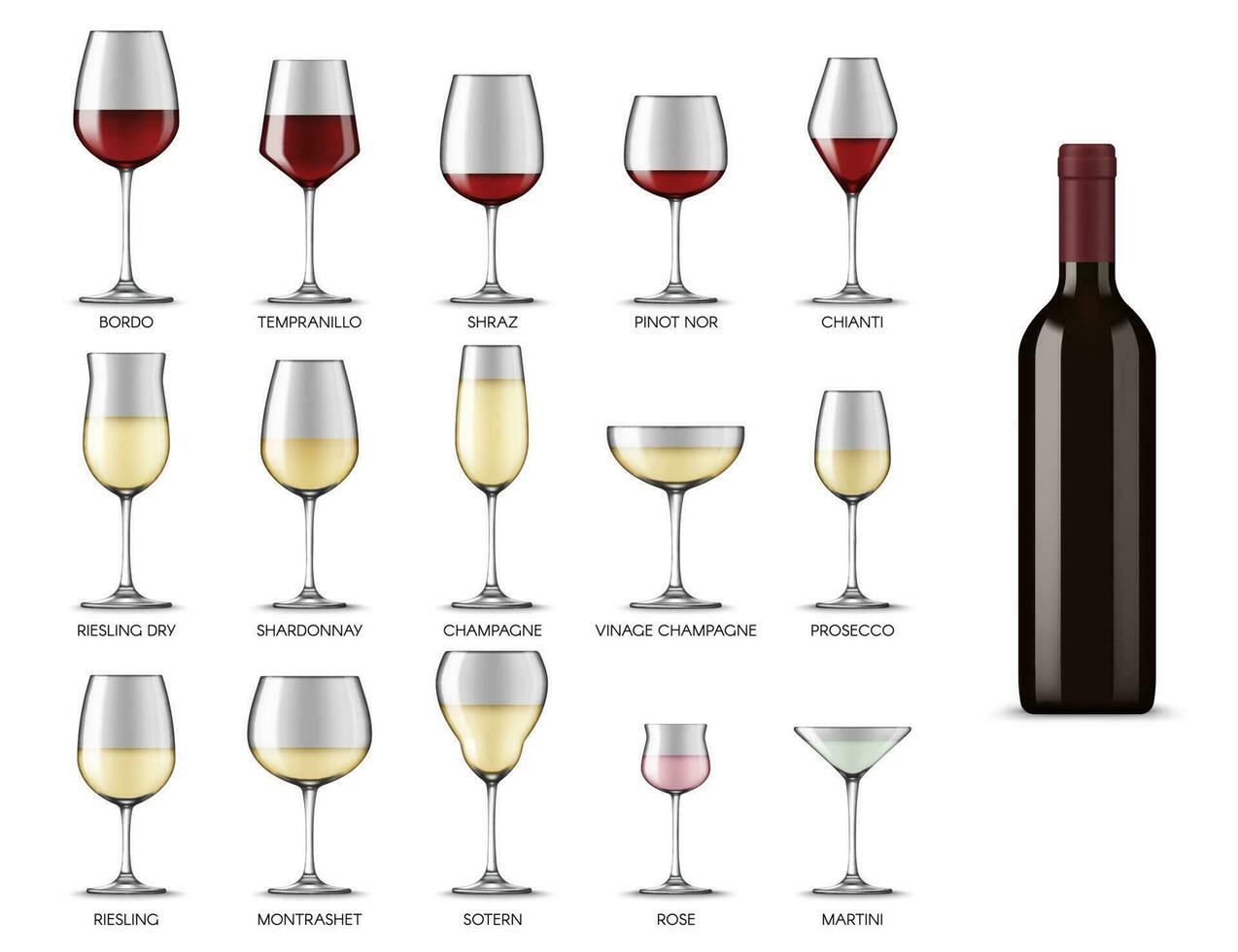 Wine glasses types, white and red wine drink cups vector