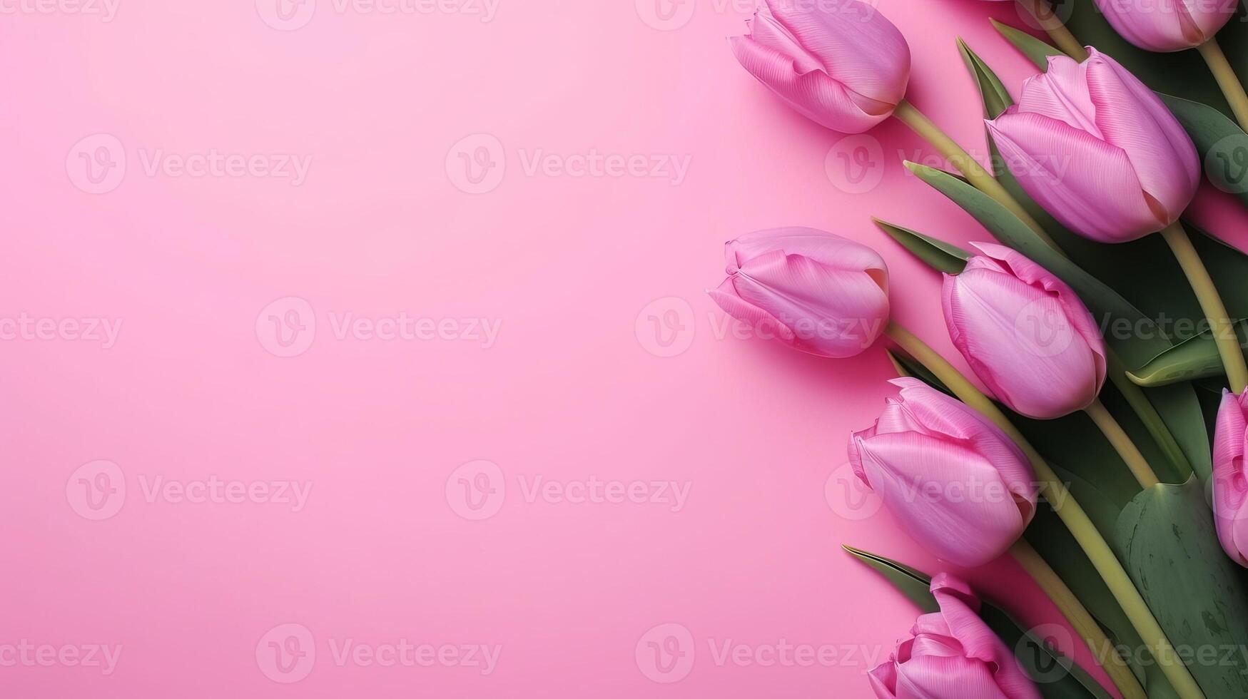 Spring tulip makes on pink foundation best see in level lay organize. photo