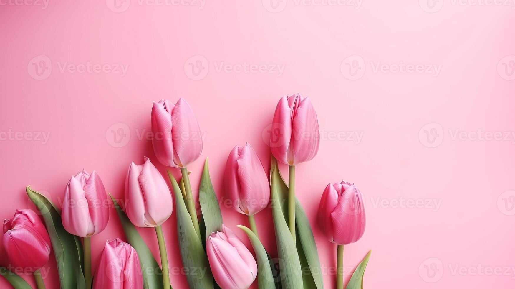 Spring tulip makes on pink establishment best see in level lay organize. photo