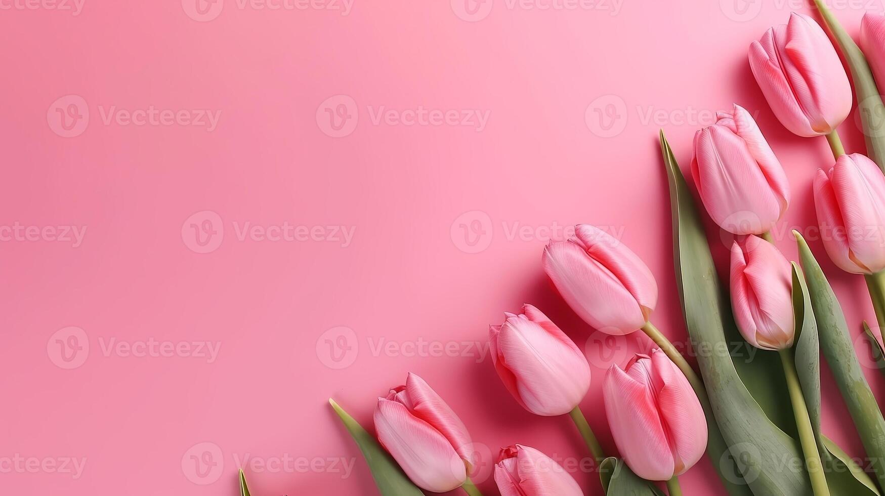 Spring tulip makes on pink foundation best see in level lay organize. photo