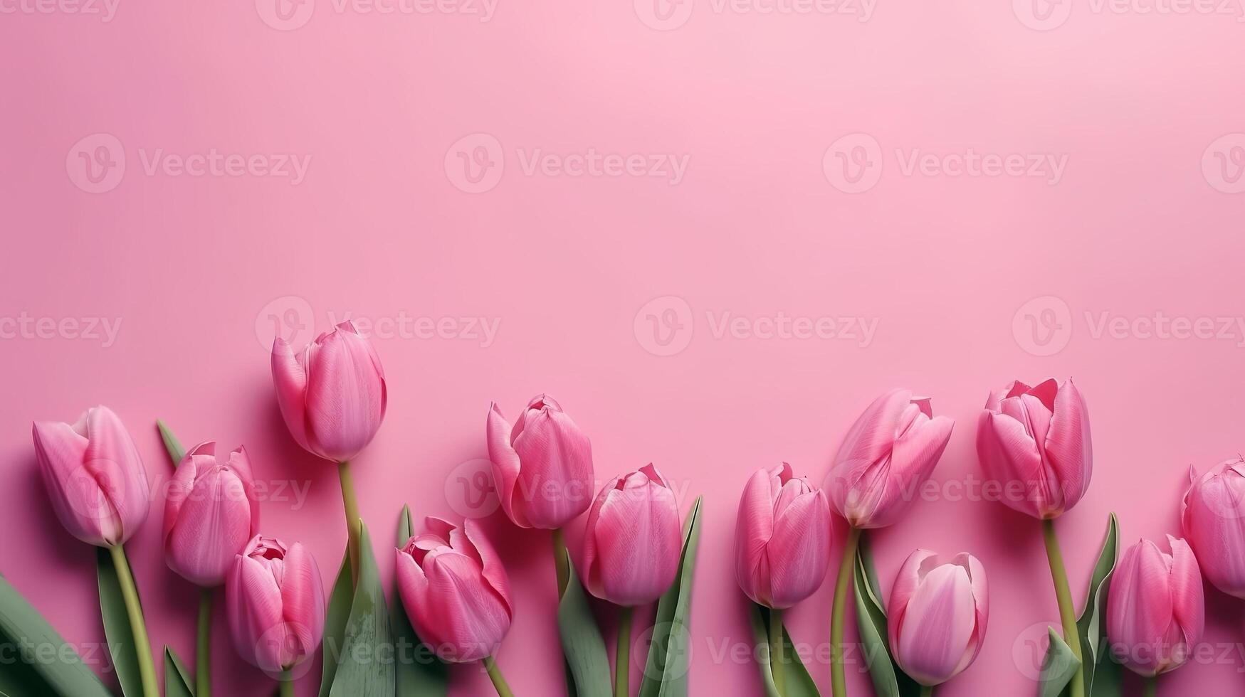 Spring tulip makes on pink establishment best see in level lay organize. photo