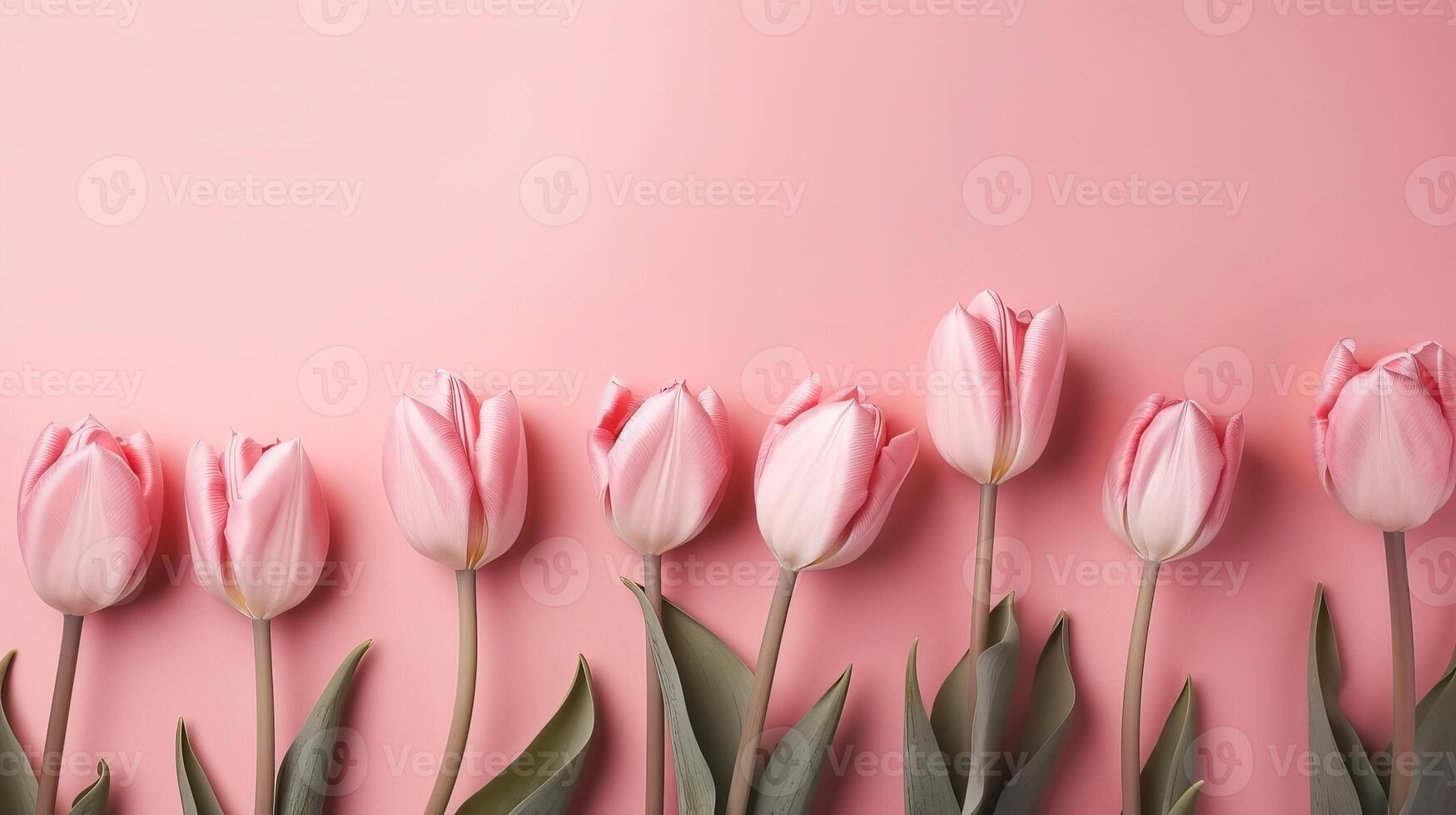 Spring tulip makes on pink foundation best see in level lay organize. photo