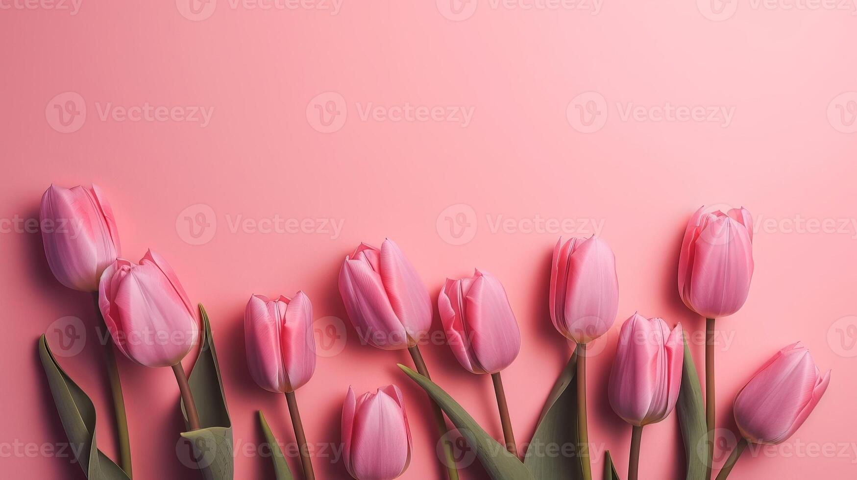 Spring tulip makes on pink establishment best see in level lay organize. photo