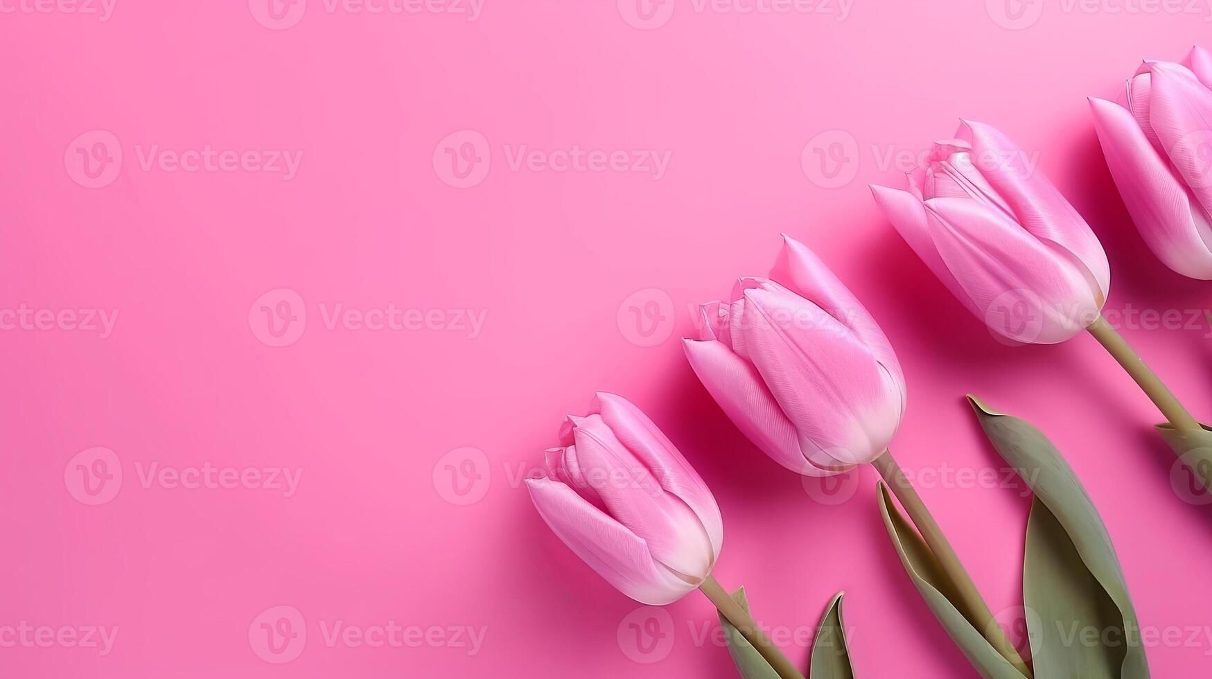 Spring tulip makes on pink foundation best see in level lay organize. photo