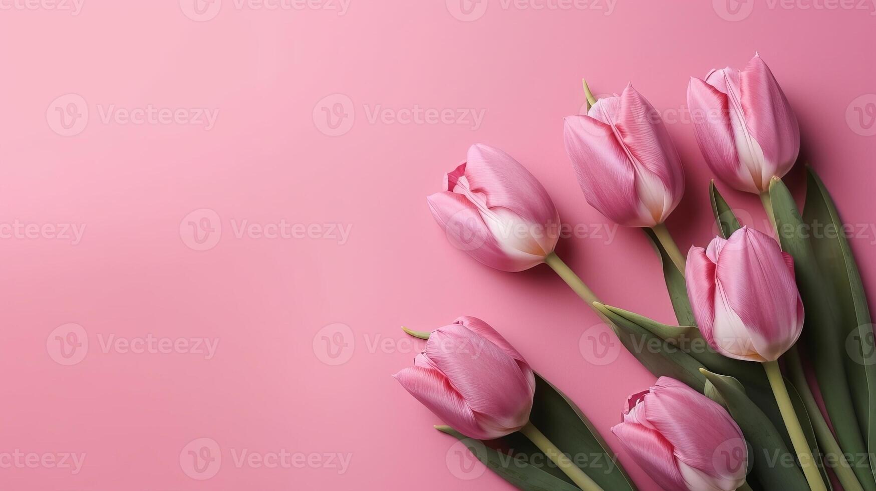 Spring tulip makes on pink establishment best see in level lay organize. photo