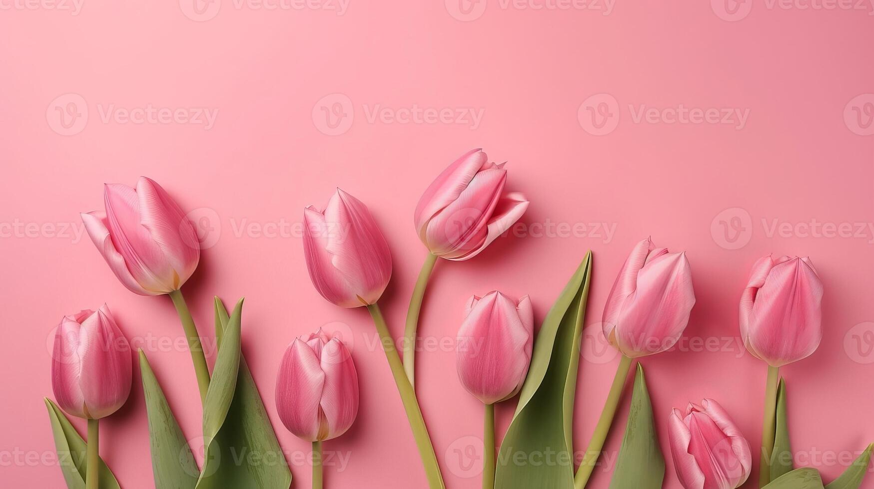 Spring tulip makes on pink establishment best see in level lay organize. photo