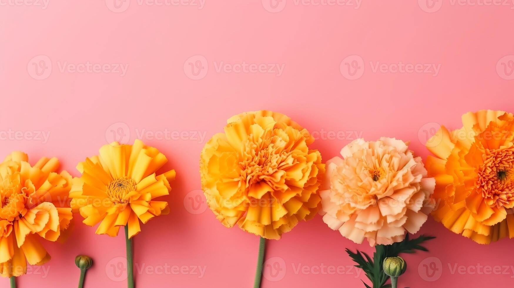 Spring marigold makes on pink pastel establishment beat see in level lay organize. photo