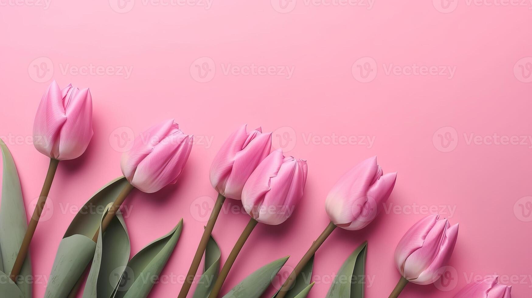 Spring tulip makes on pink foundation best see in level lay organize. photo