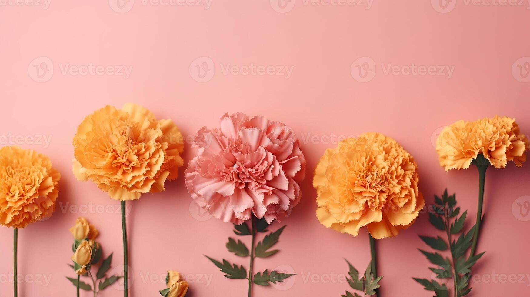 Spring marigold makes on pink pastel foundation beat see in level lay organize. photo