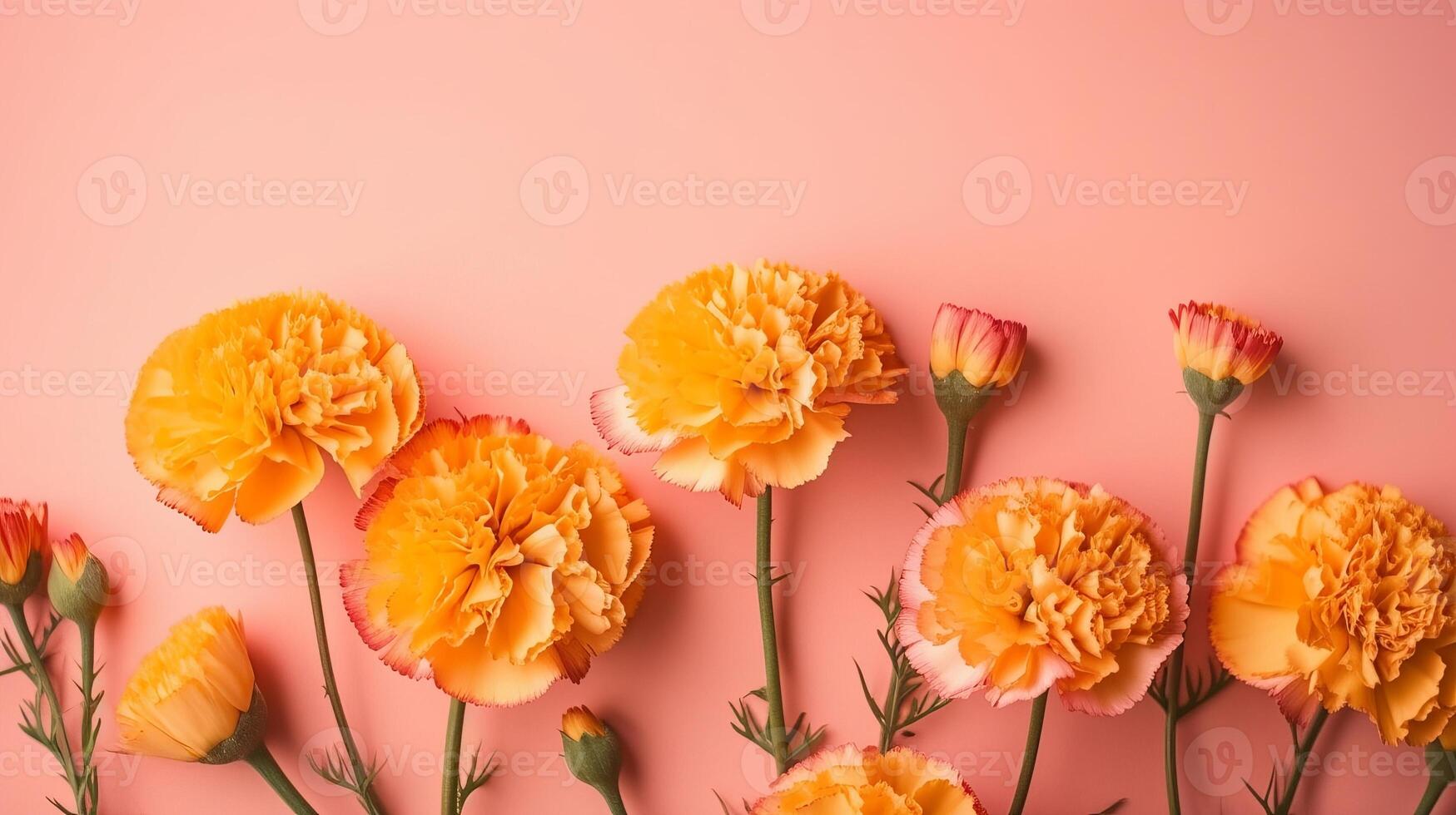 Spring marigold makes on pink pastel foundation beat see in level lay organize. photo