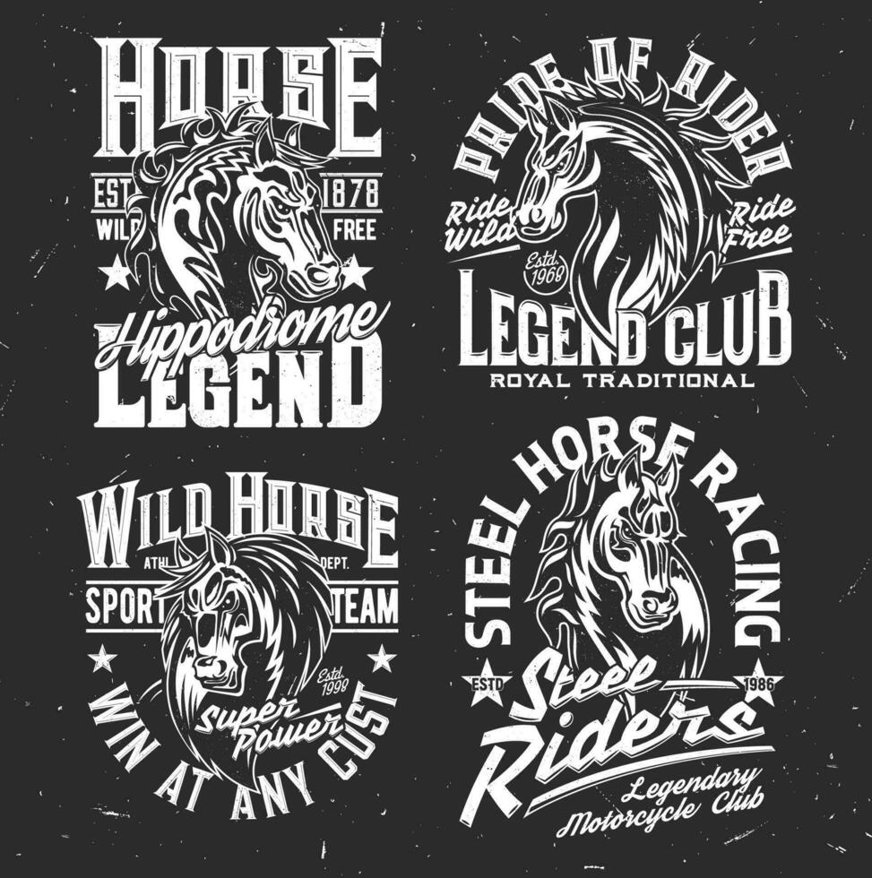 T-shirt prints horse. stallion. Equestrian sport vector