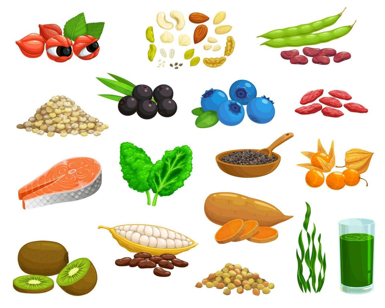 Superfoods products, healthy food seeds and fruits vector