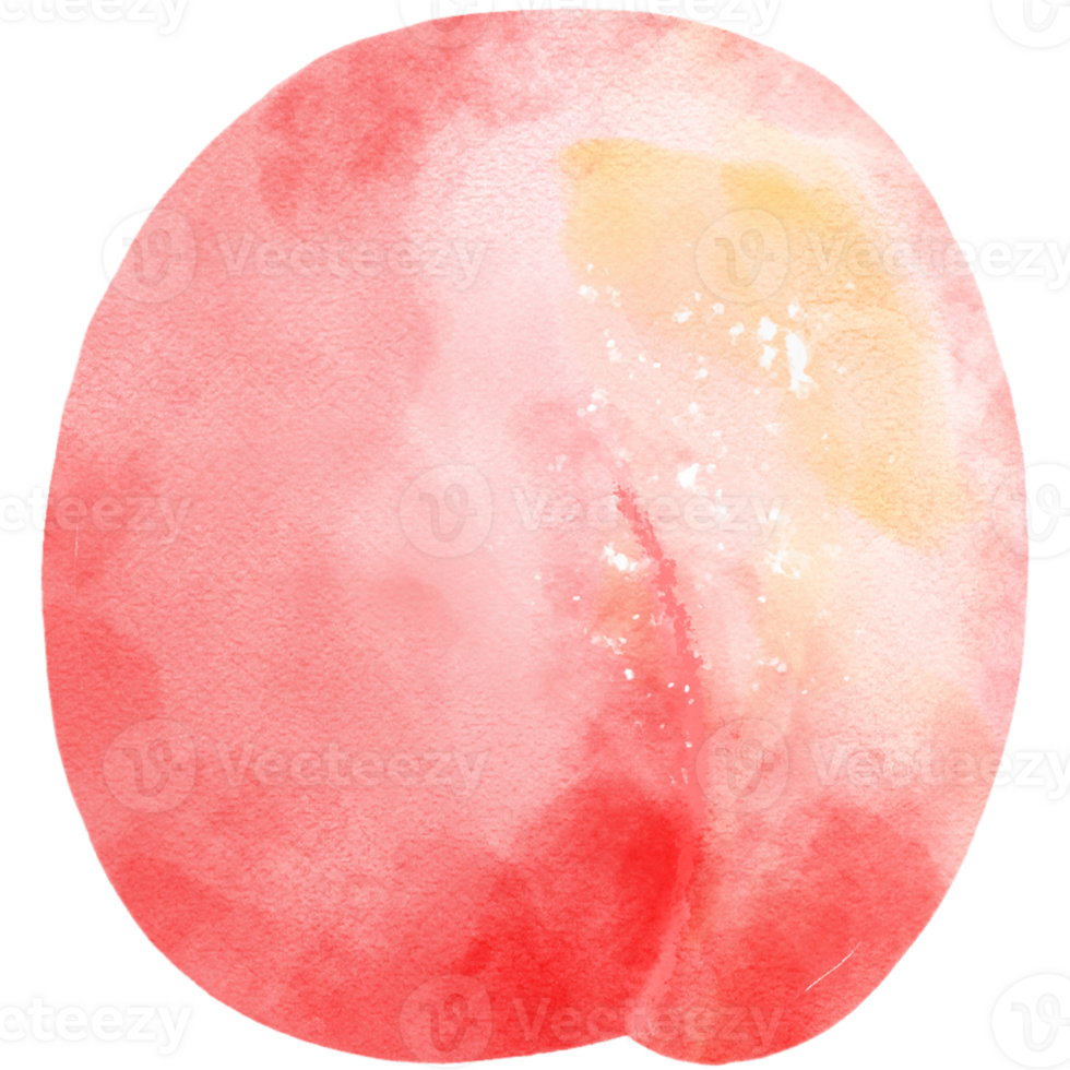 Watercolor peaches.Hand drawn modern decorative fruit objects isolated on png background.