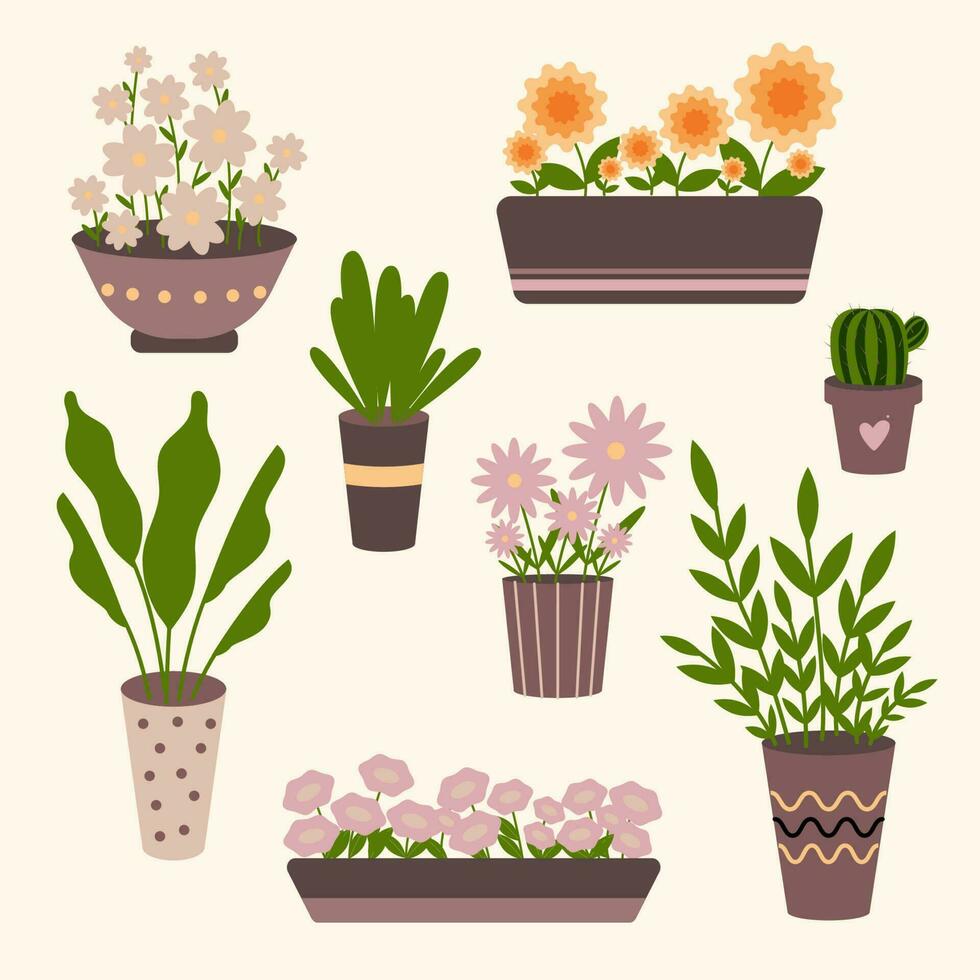 Vector flat pastel colors house or outdoor flowers in pots set, isolated on beige background.