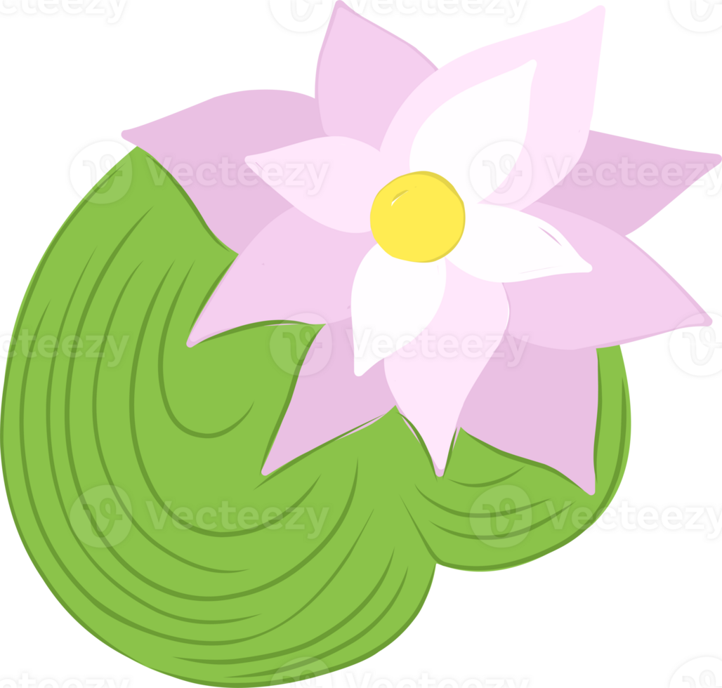 Water lily in children's style.Swamp water lily from a fairy tale png