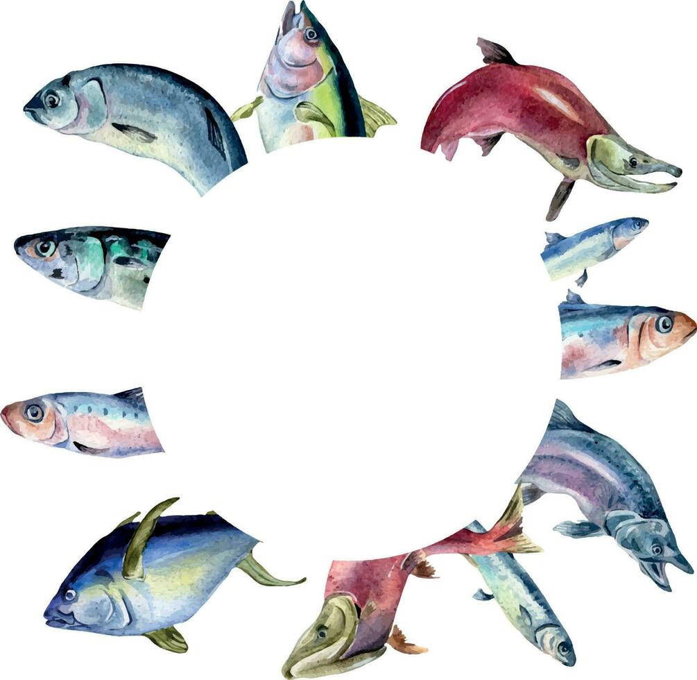 Frame of various fresh sea fish watercolor illustration isolated on white. Wild fish, tuna, salmon, herring, anchovy hand drawn. Design element for cookbook, signboard, menu, market, packaging vector