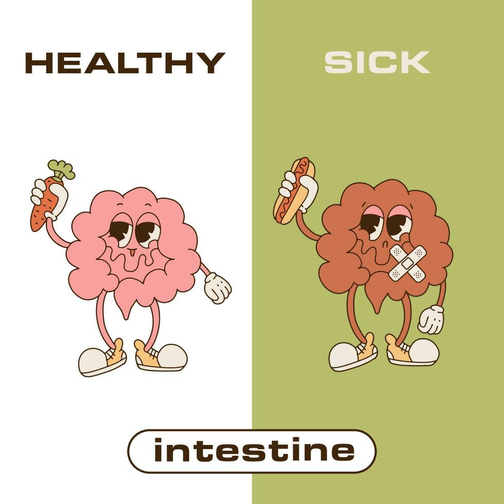 fuerte sano contento intestino personaje con Zanahoria vs insalubre intestino participación Hot dog. digestivo tracto, sano comida nutrición,intestino concepto. vector retro dibujos animados estilo ilustración