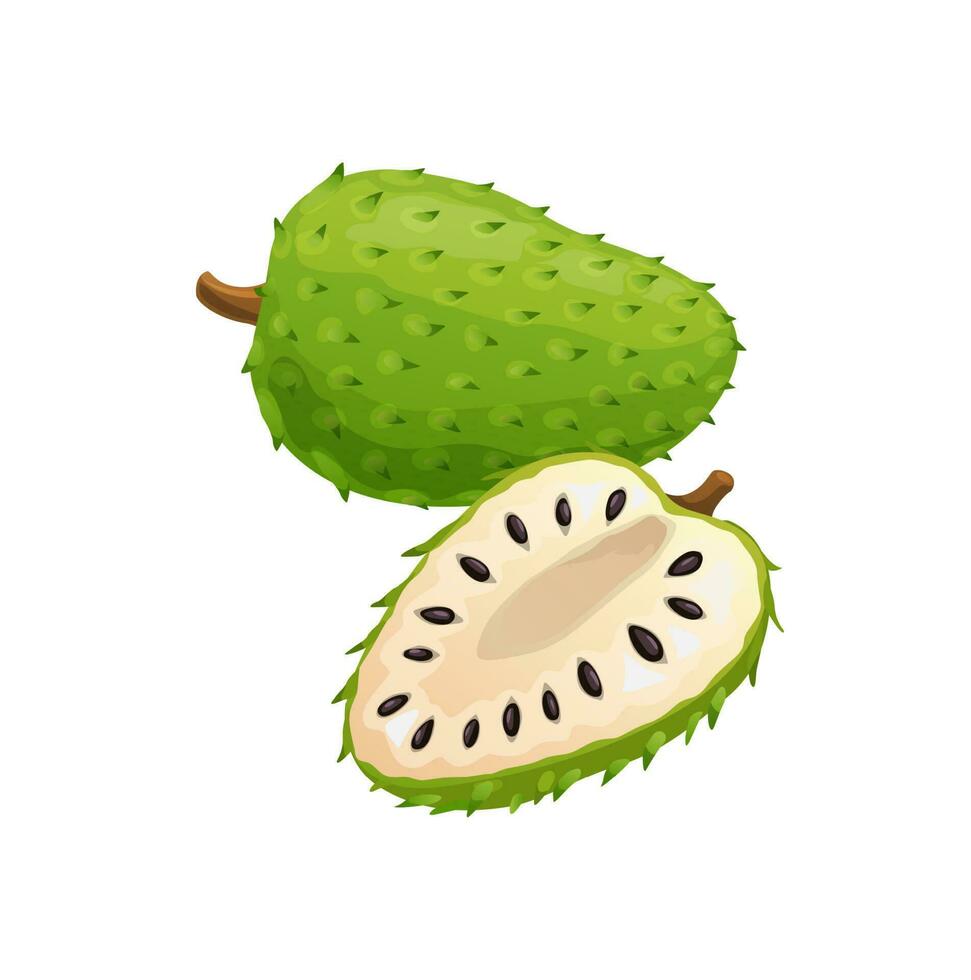 Sour apple soursop exotic tropical fruit isolated vector