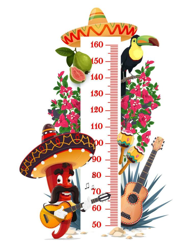 Kids height chart, Mexican mariachi, chili pepper vector