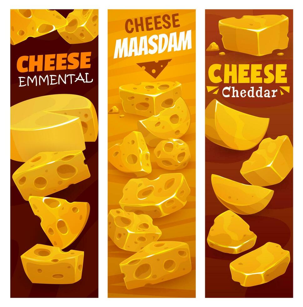 Maasdam, Emmental and Cheddar cheese, dairy food vector