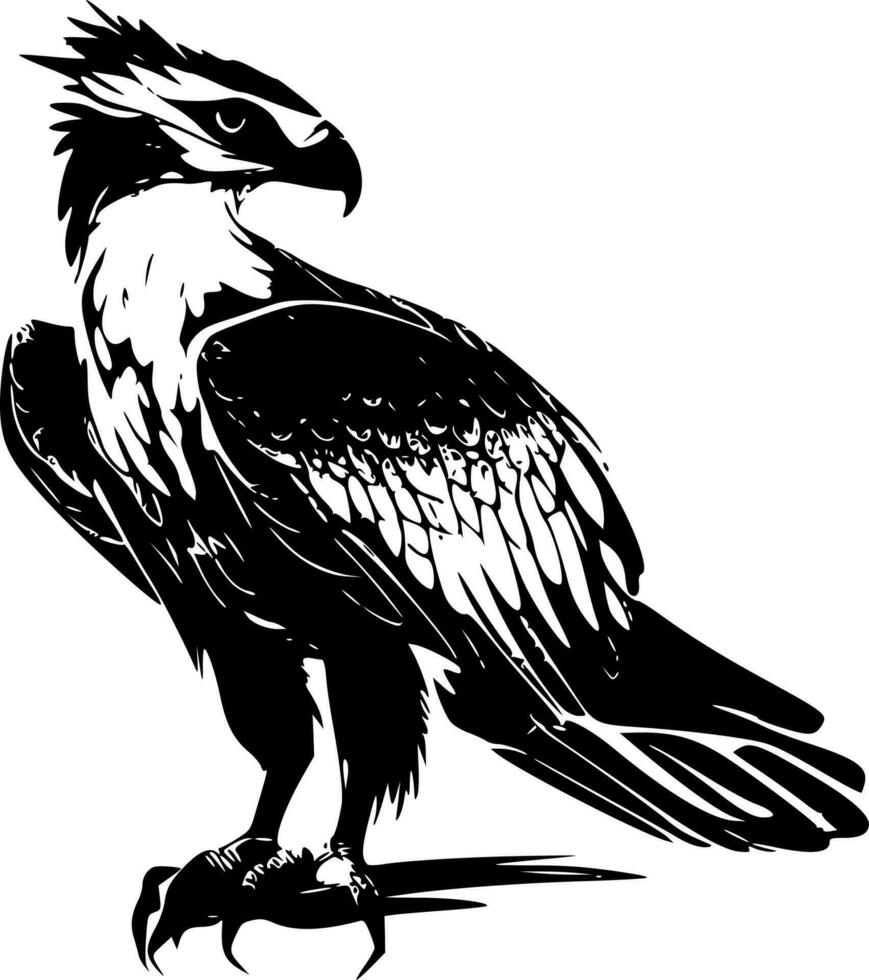 águila pescadora, negro y blanco vector ilustración