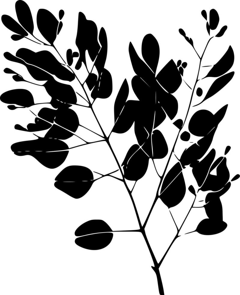 Eucalyptus, Black and White Vector illustration